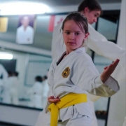 grimsbykarate-15